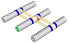 Flat belts move more per roller