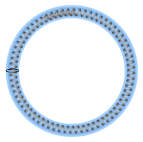 Connected Spring Belt